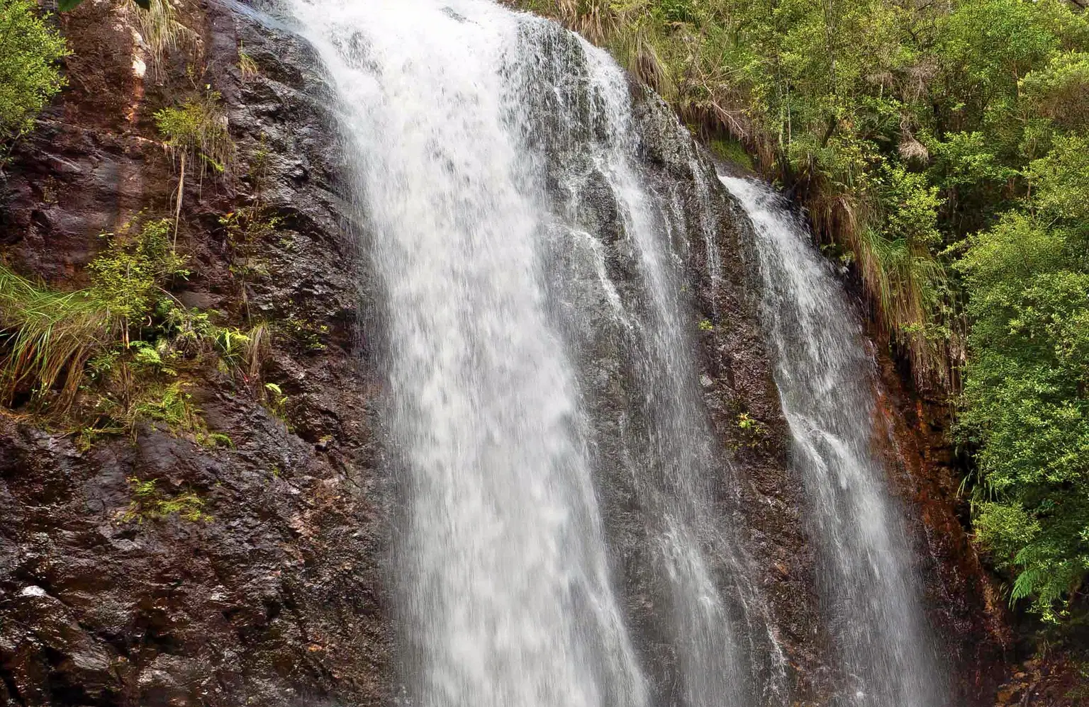 Manikyadhara Falls