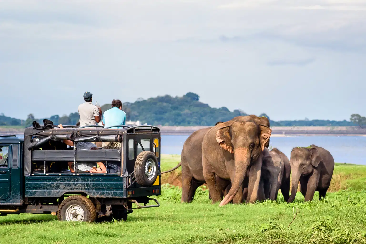 Jeep Safari In Gorumara National Park