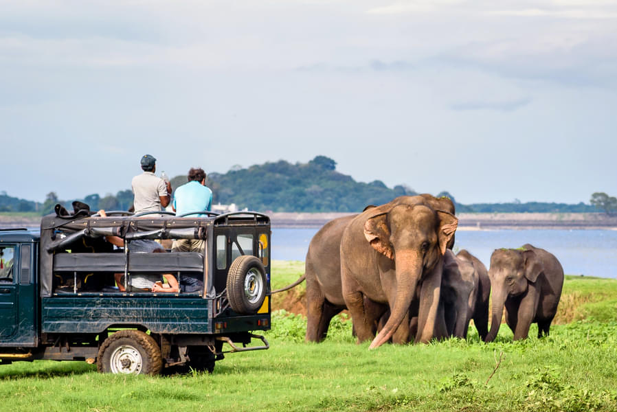 Jeep Safari In Gorumara Image