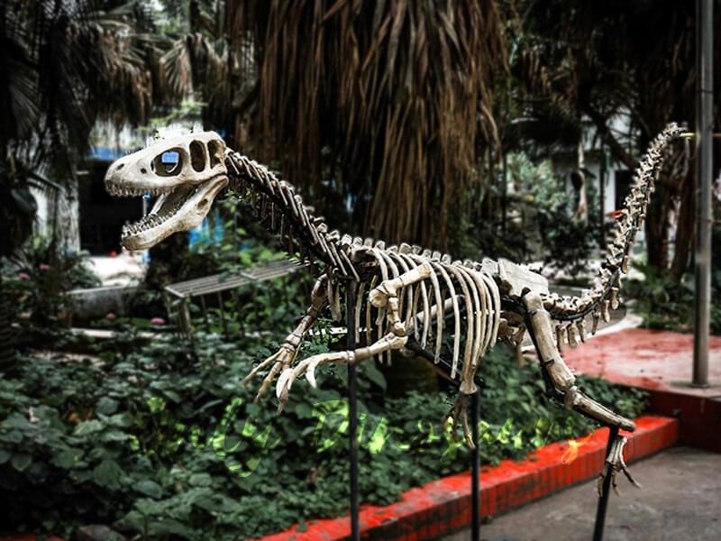 Enjoy life-like Dinosaur discovery trail