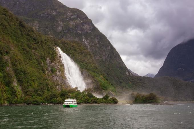 Premium Glass-Roof Catamaran Milford Sound Tour by Cruise