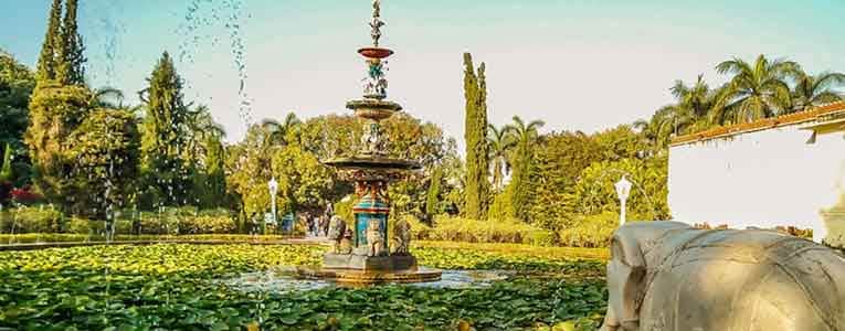 Take a Leisurely Walk in the Garden