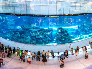 Visit and explore the world's largest indoor aquarium, The Dubai Aquarium