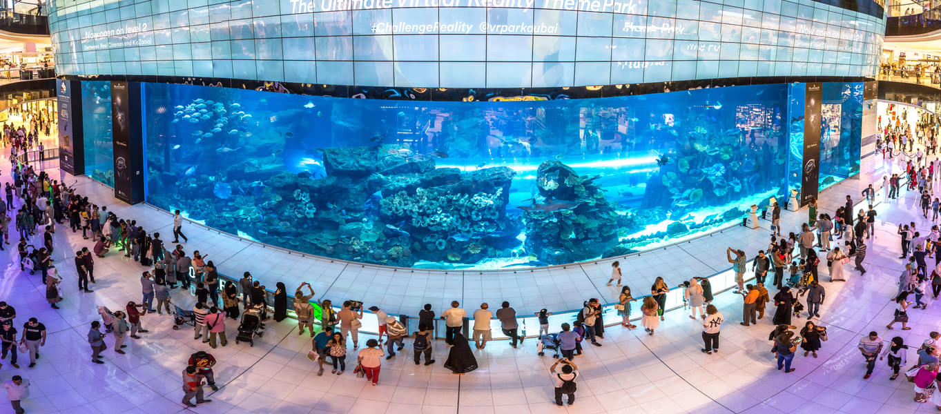 Dubai Aquarium & Underwater Zoo Tickets Image