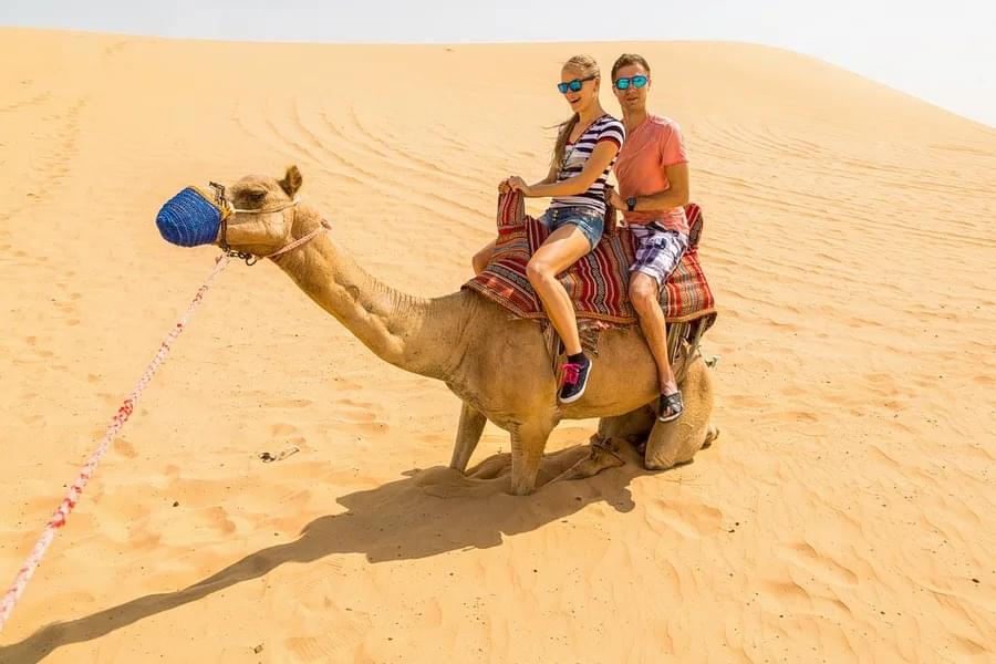 Go for Camel Safari
