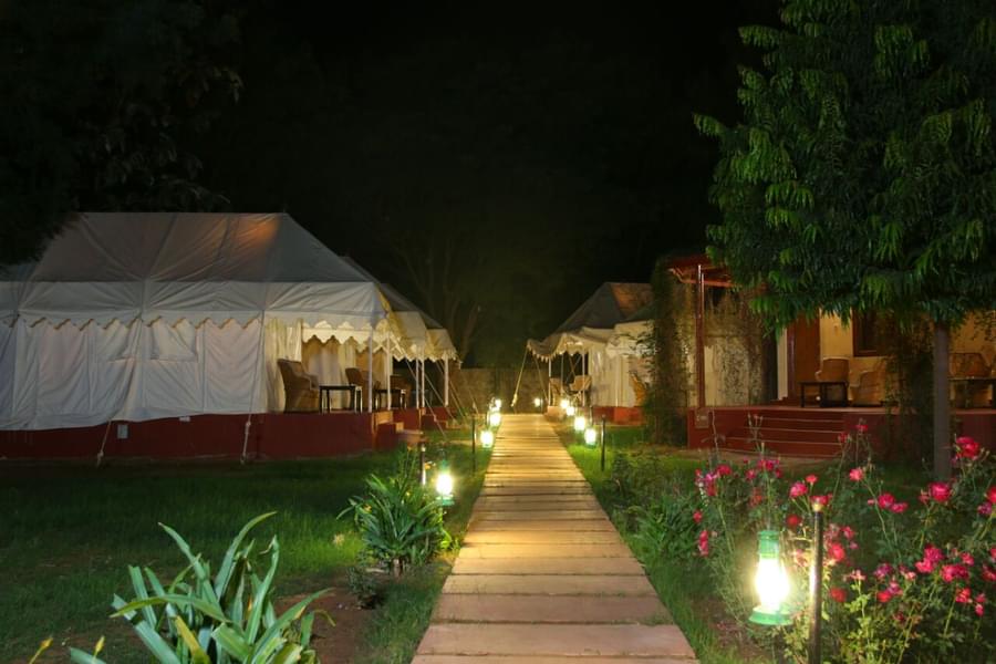 Jungle View Resort, Ranthambore Image