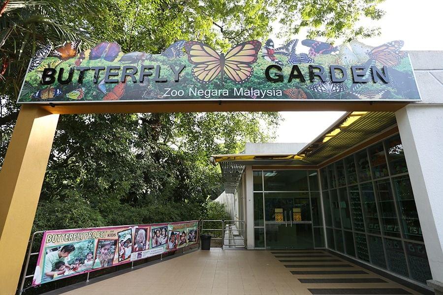 Butterfly Garden.jpg