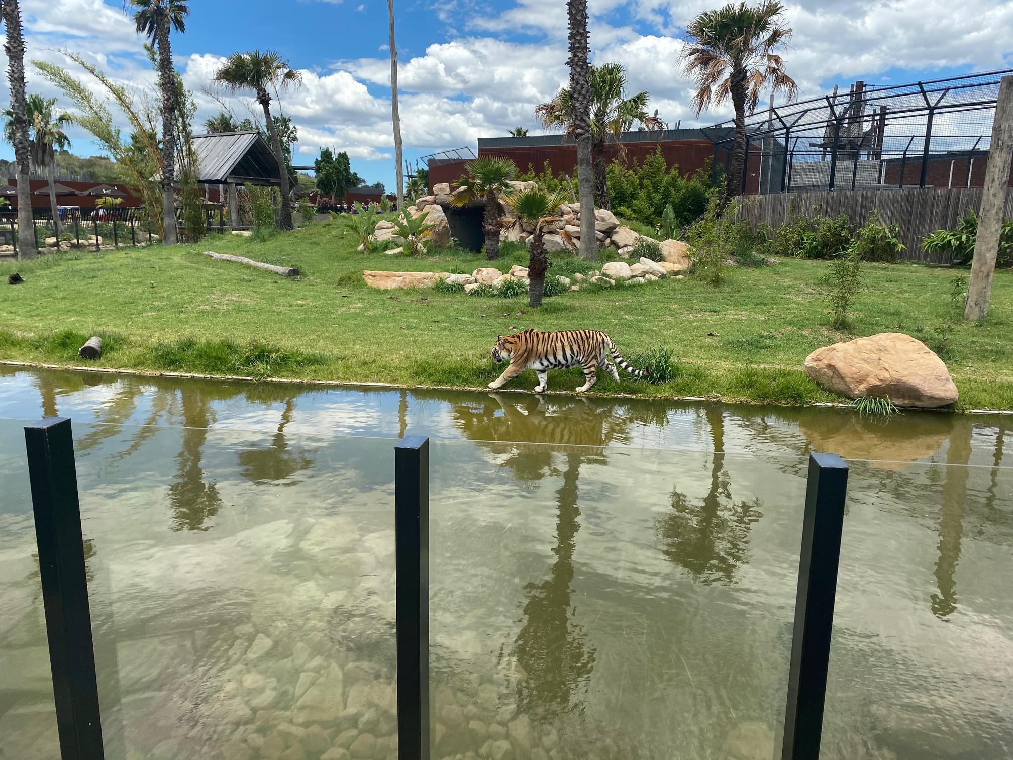 Sydney Zoo Overview