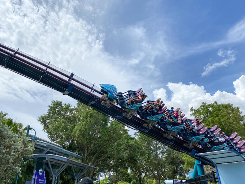 Feel the adrenaline rush as you ride Orlando's tallest and fastest roller coaster, Mako