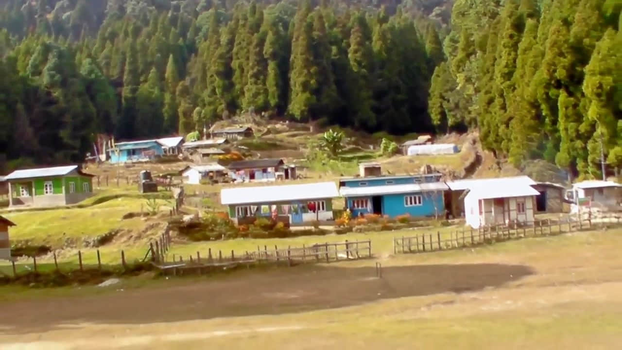Photo from Suma Kocchar's trip