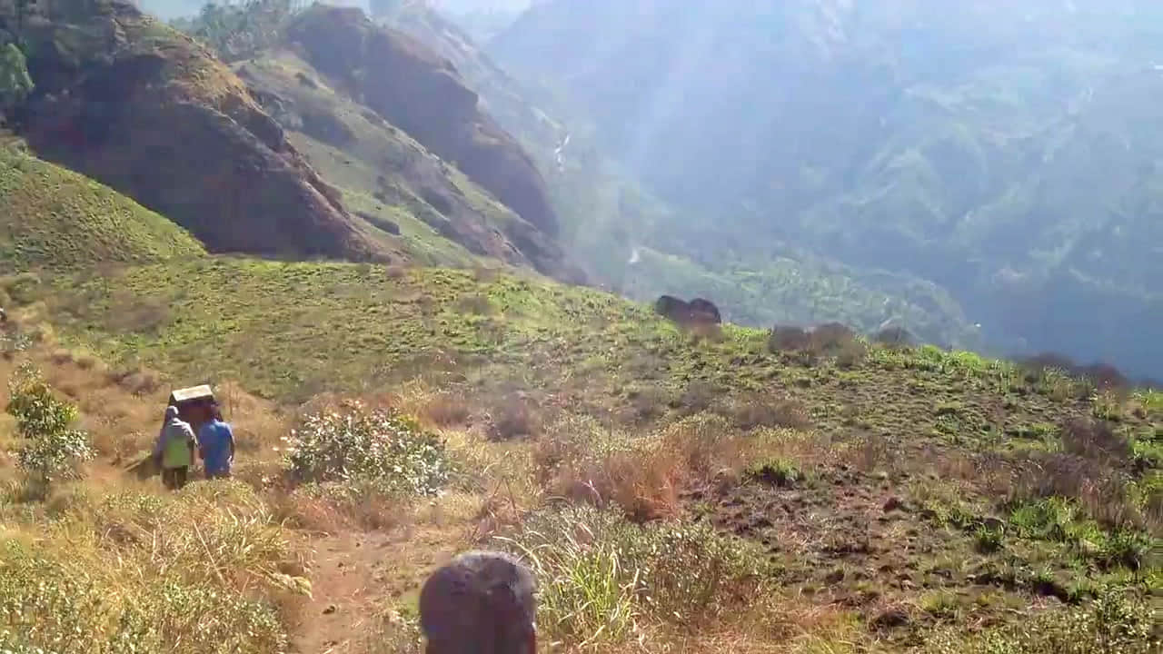 Photo from Vaidehi Ahuja's trip