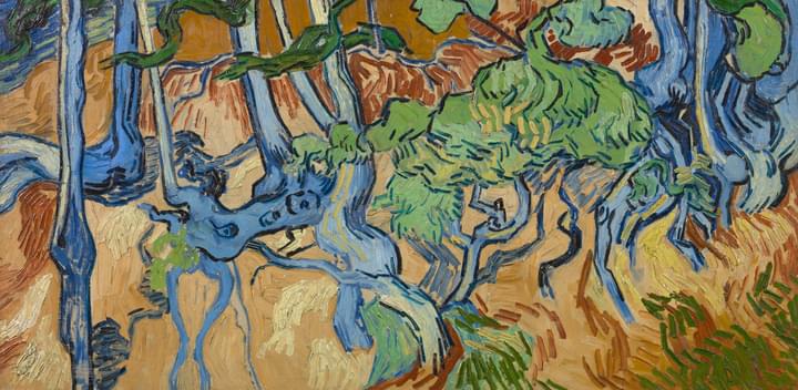 Tree Roots Painting in Van Gogh Museum