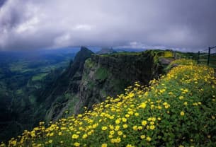 Xmof0musg46q7dycwhuzp44xhp9o sea climber 1570099359742