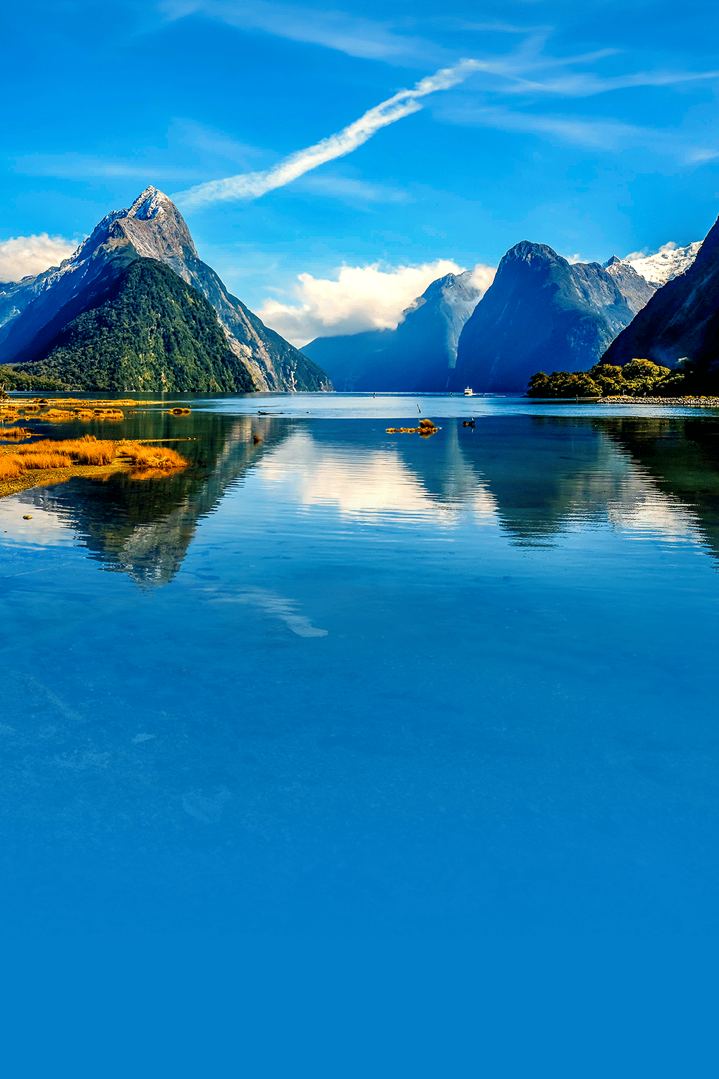 All-in-One New Zealand Tour