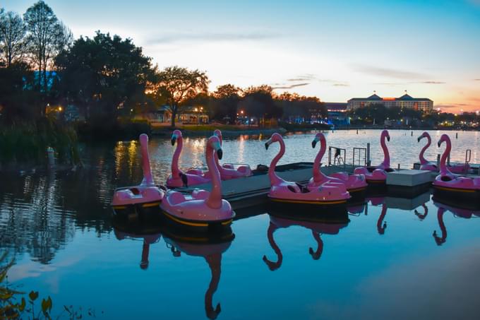 Flamingo Boat