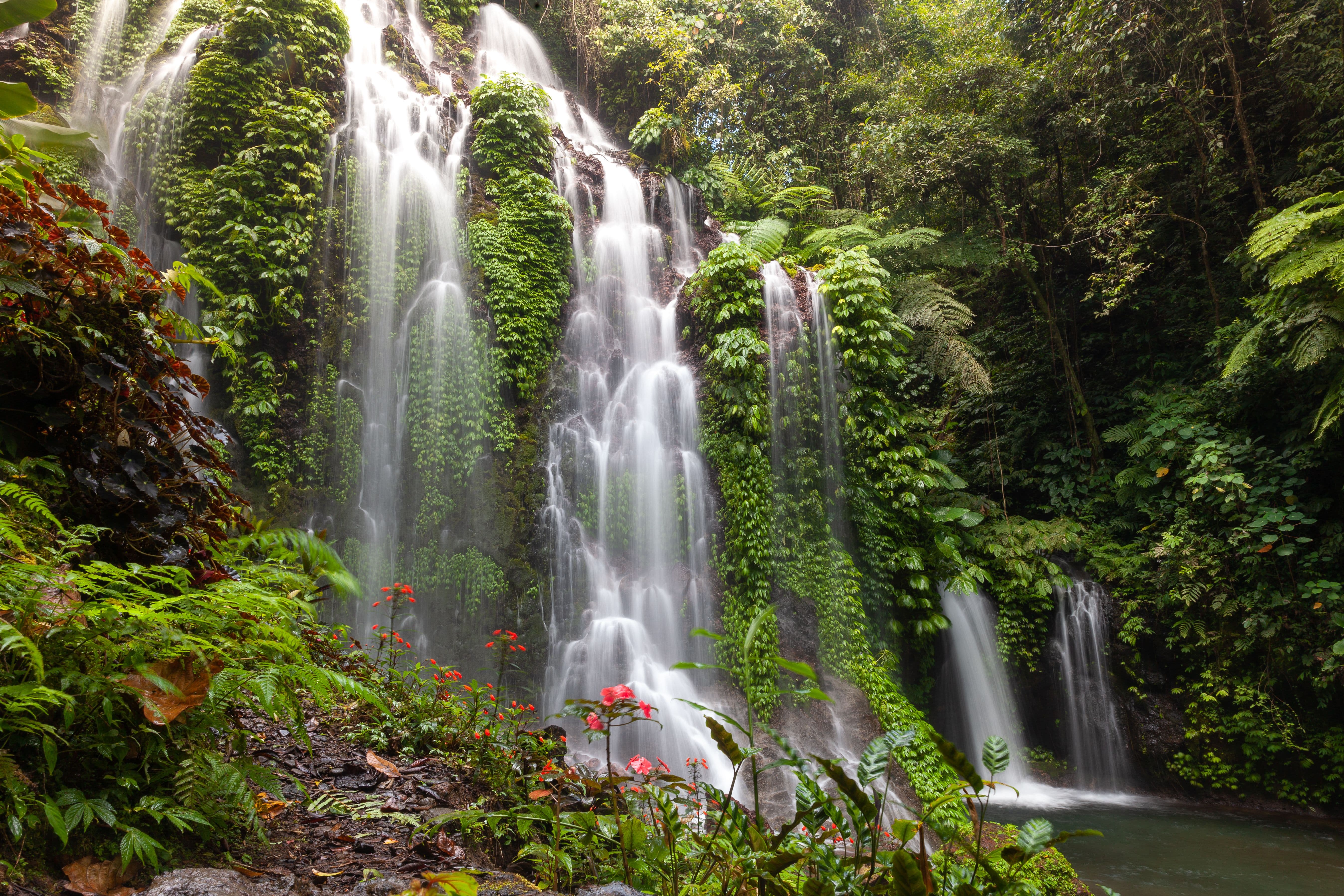 West Bali National Park.jpg