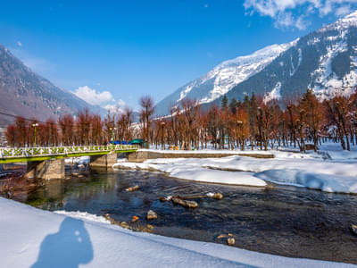 Experience the Luxury of Kashmir | FREE Excursion to Aru Valley Day 2