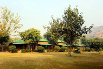 Camp Wild Dhauj | Luxury Staycation Deal