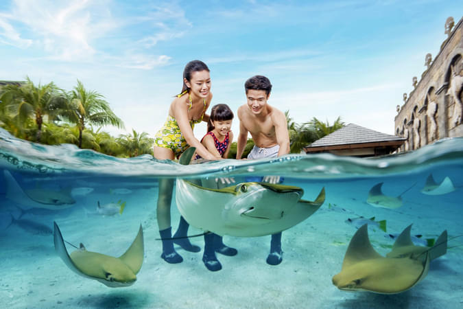 Adventure Cove Waterpark