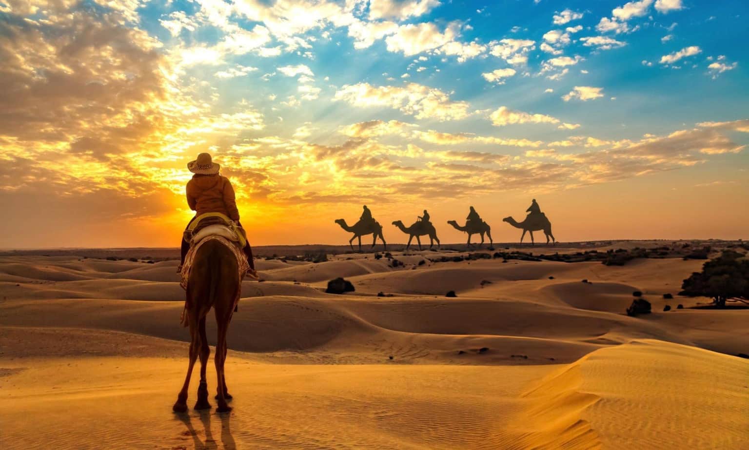 Spend Time With Camel