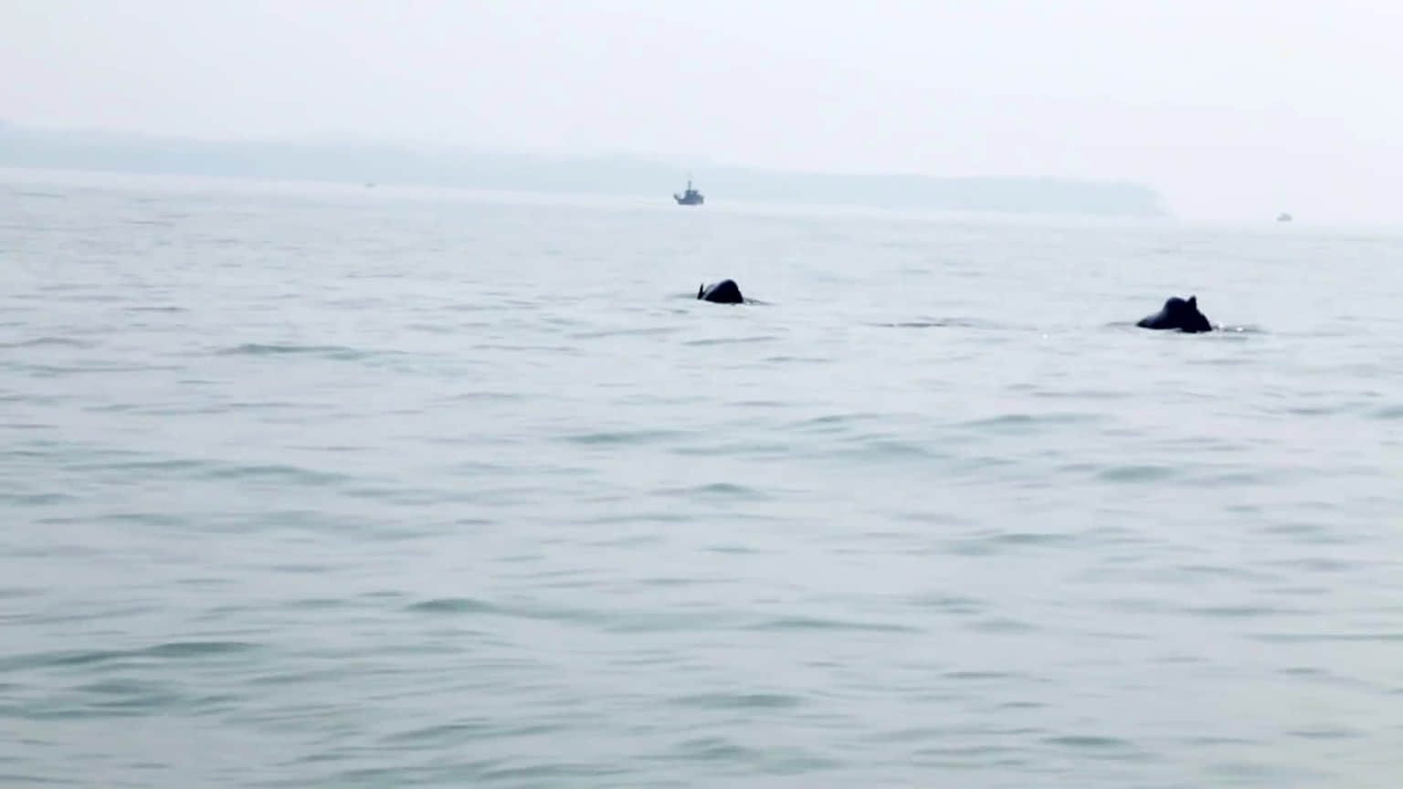 Photo from Avadhesh Kapoor's trip