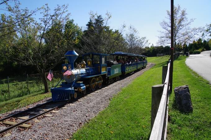 Zoo Train