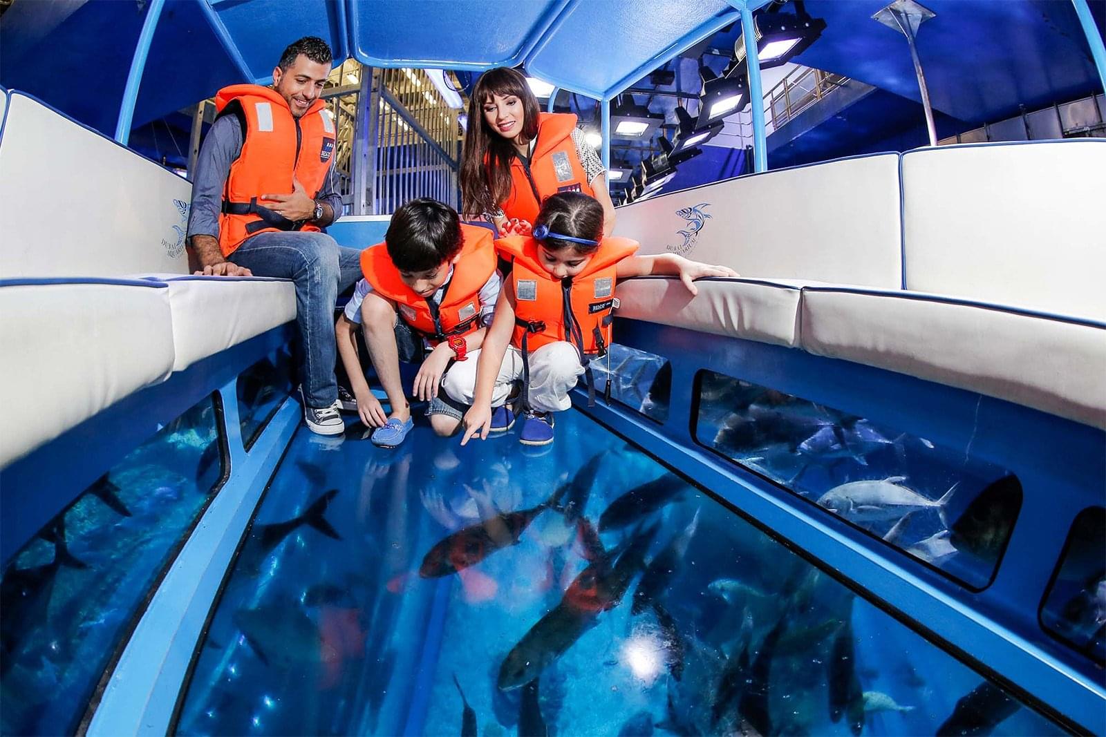 See the beauty of the aquatic life through a Glass Bottom Boat Tour