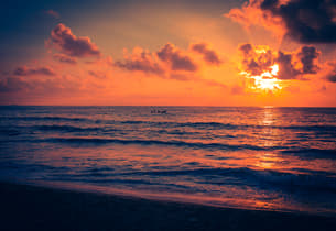 Xohmbrgw838jc93n1cj6q1kl1gju shutterstock 1933896449