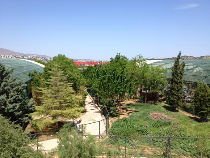 Attica Zoological Park