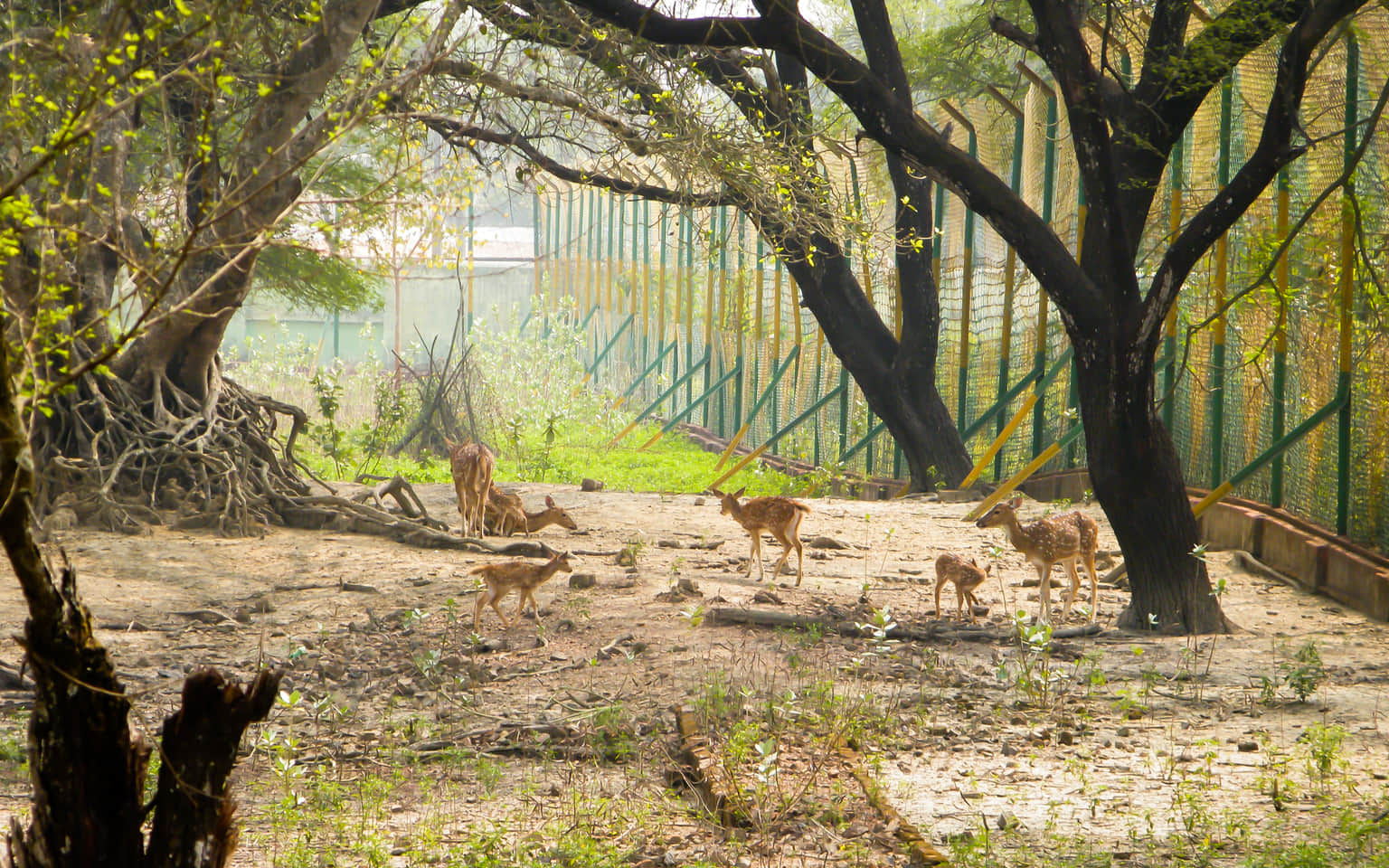 Bhadra Wildlife Sanctuary