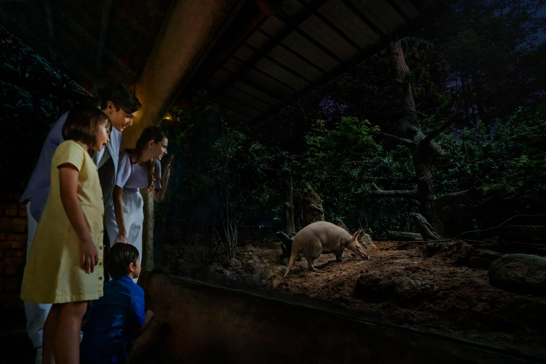 Marvel at the aardvarks in the replicas of their natural habitats