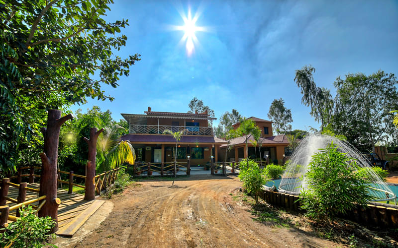 Tadoba Tiger King Resort Image
