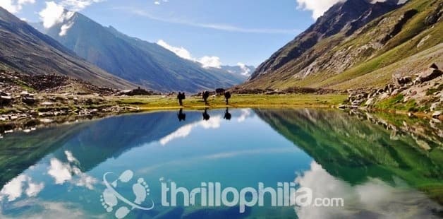 Miyar Valley Trek Image