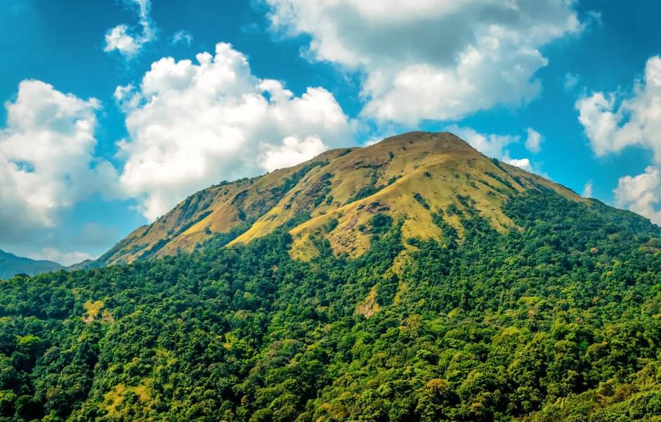 Kudremukh Trek Image