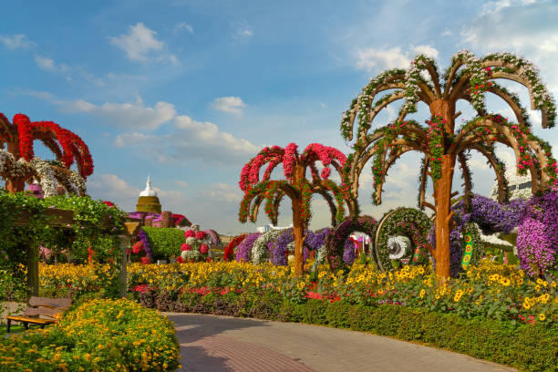 Miracle Garden Dubai