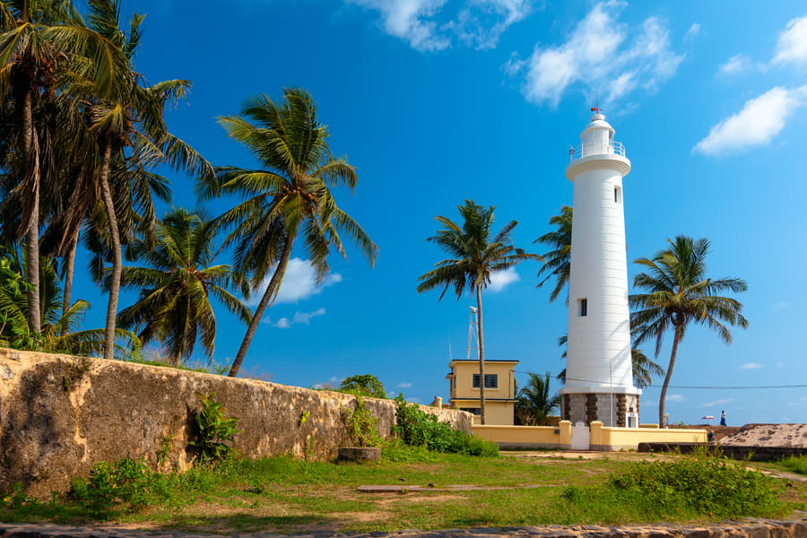 Mirissa and Galle Sightseeing Tour Image