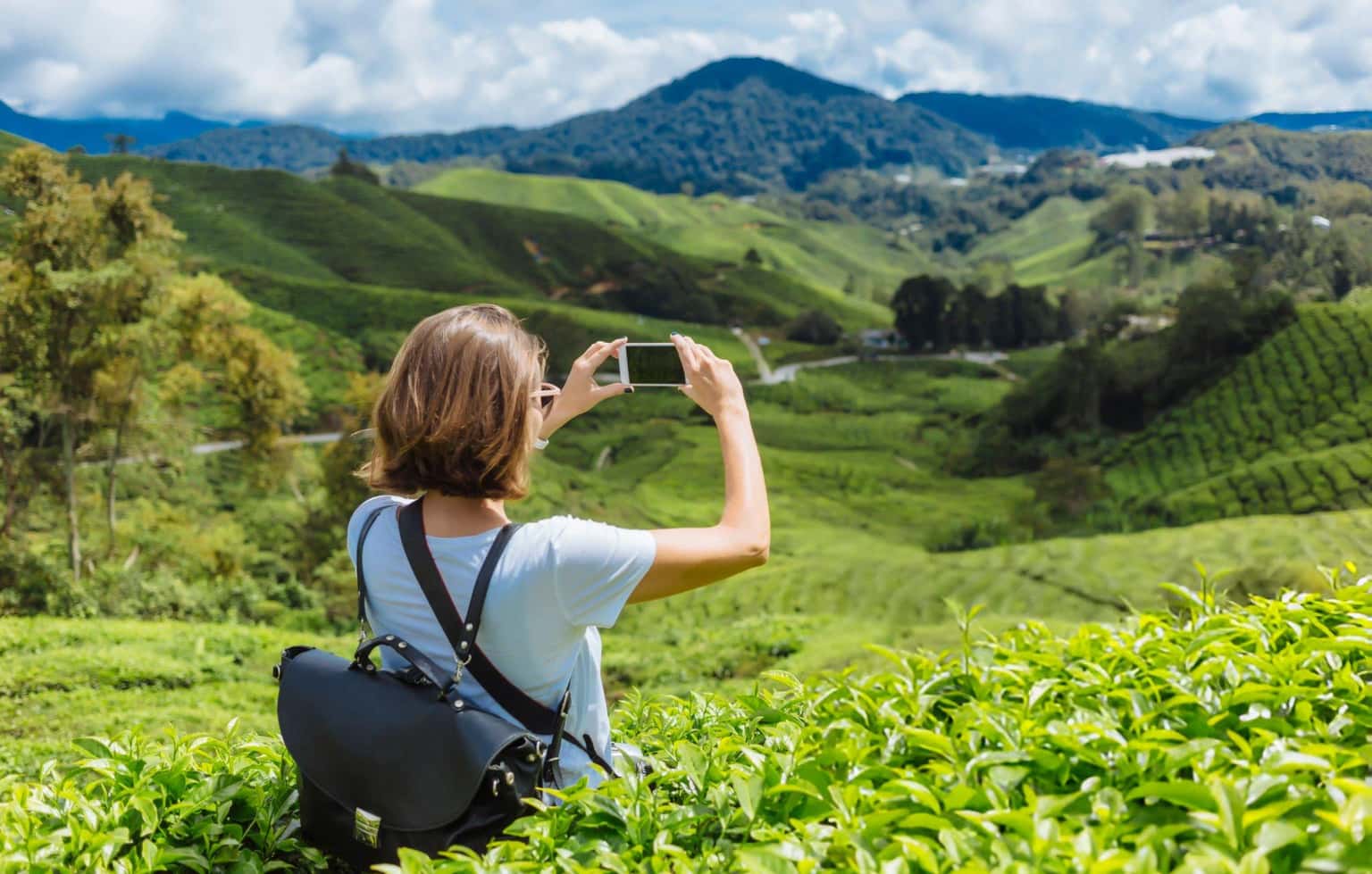 Kerala Odyssey | Passage Through Rolling Hills, Spice Trails, & Calm Backwaters