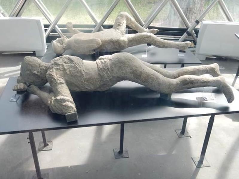 The Preserved Plaster Casts