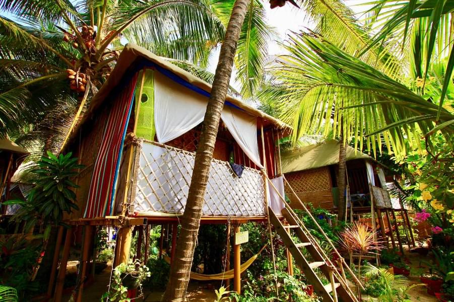A Beachside Hut Stay Near Agonda, Goa Image