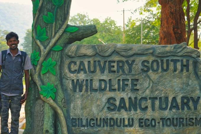 Experience a serene 14 km trek through lush Cauvery South forests