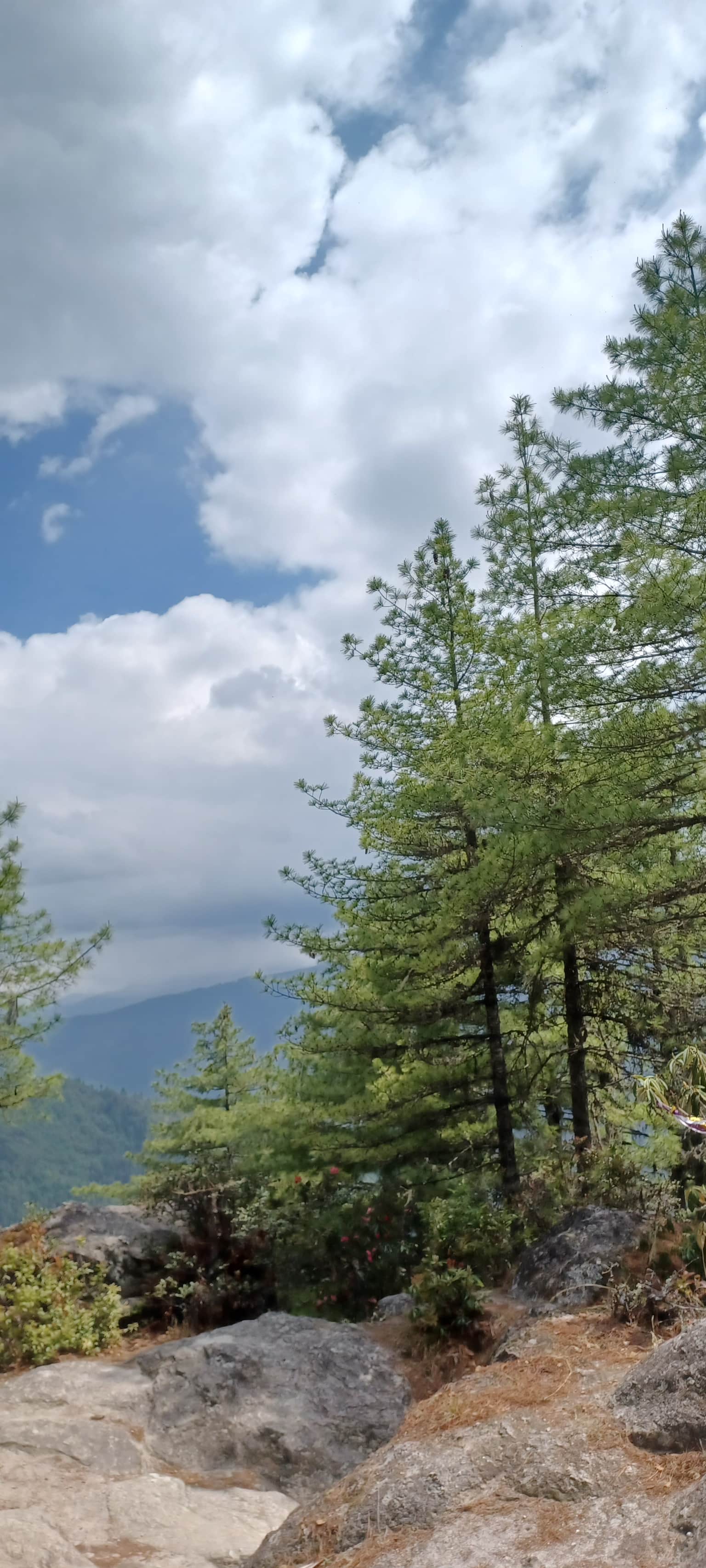 Photo from DEBESH KUMAR DASH's trip