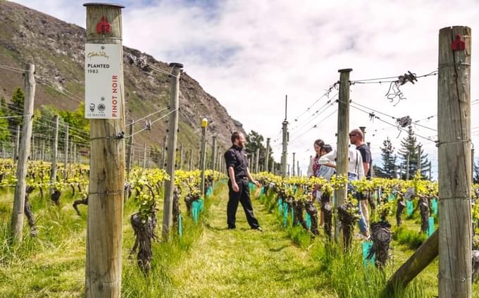 Gibbston Valley Winery