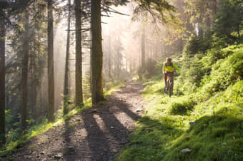 Mountain Biking In Dandeli Jungle