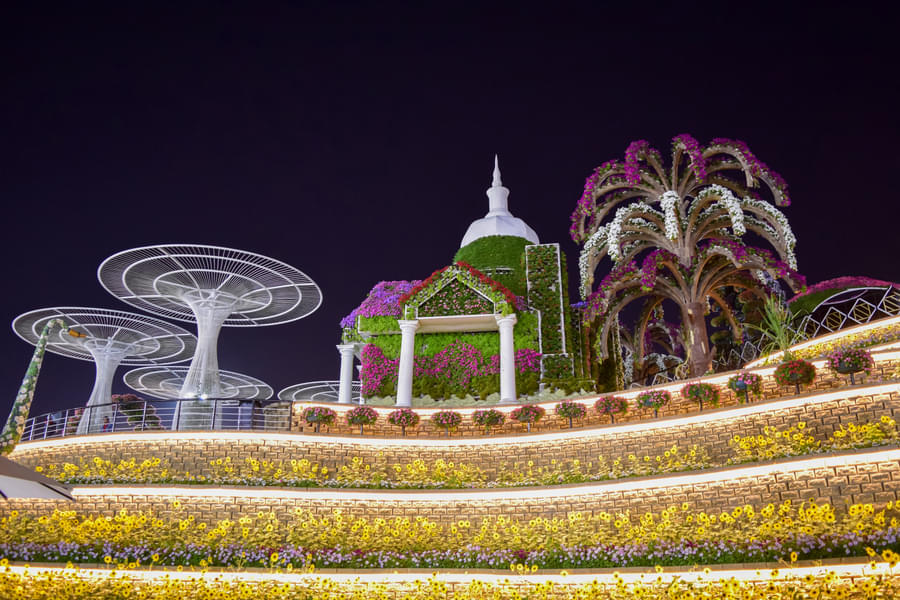Dubai Miracle Garden at Night