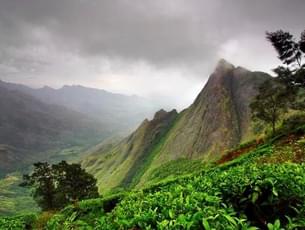 Xu48rzz3f34v6mlmrz627kw1eo8g munnar