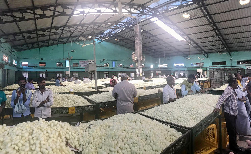 Ramanagara Silk Cocoon Market