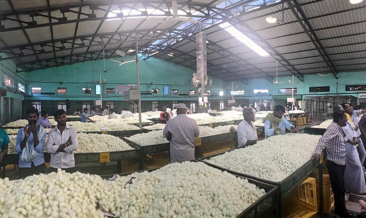 Ramanagara Silk Cocoon Market