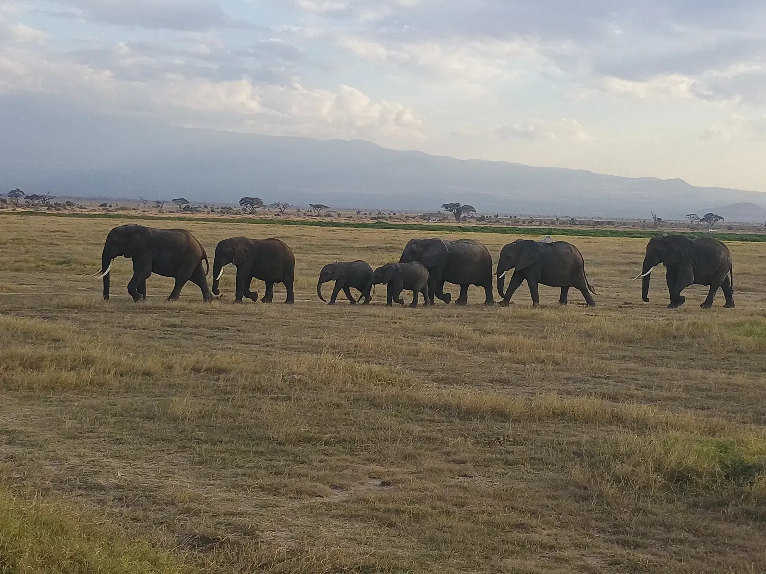 Photo from Sushant Palekar's trip