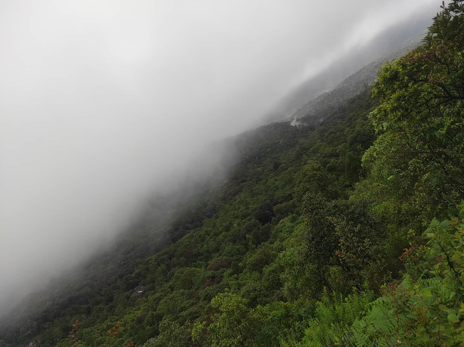 Photo from Jayalakshmi b's trip