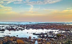 Xuz7q7bimpo7zejquwrhaf1lhzlg 1591184142 1591107606 vizag11.jpg